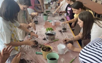 WARSZTATY – LAS W SZKLE